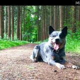 Foto van fabienne