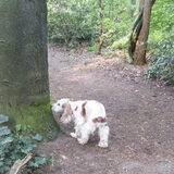 Foto van esther
