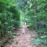 Foto van esther