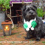 dit was vorig jaar onze kerstkaart. lief he.