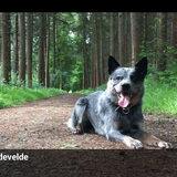 Foto van fabienne