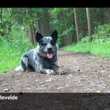 Foto van fabienne
