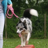 Foto van Angelique; Bruno, Charlie & Fenna