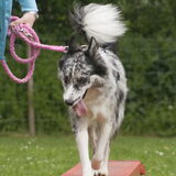 Foto van Angelique; Bruno, Charlie & Fenna