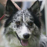 Foto van Angelique; Bruno, Charlie & Fenna