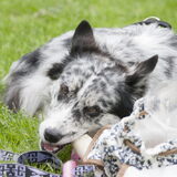Foto van Angelique; Bruno, Charlie & Fenna