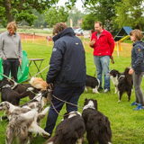 5 jarig bestaan My Sweet Devils Eye 22.05.2016