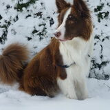 Foto van angelique konig
