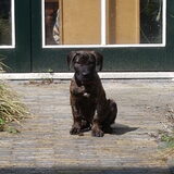 Foto van Roxiejh*Angel*Liv