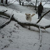 Jump!!