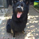 Foto van Denise