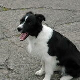 5 maanden oud