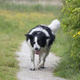 Foto van Angelique; Bruno, Charlie & Fenna
