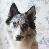 Foto van Angelique; Bruno, Charlie & Fenna