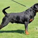 Gotcha From House Hertog V3 op ADRK 2009
