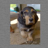 Foto van Maggie