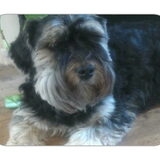 Foto van Maggie