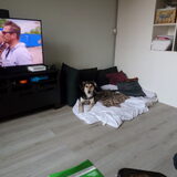 Foto van Rosanja