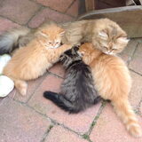 Foto van Suzanne en Luca