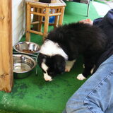 Foto van carla en Buddy