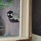 Foto van carla en Buddy