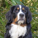 Foto van Caroline