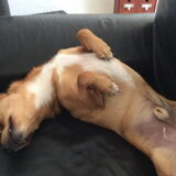 Foto van Petra