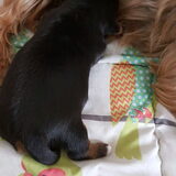 Foto van Fem & Joey
