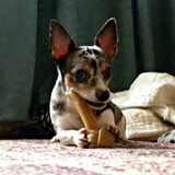Foto van Nymeria