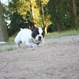Foto van Lavina