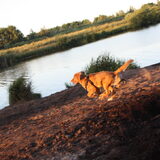 Foto van Lavina