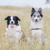 Foto van Angelique; Bruno, Charlie & Fenna