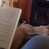 Foto van Team Podenco ( Luuk)