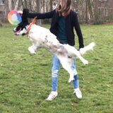 Foto van thebarkingstars