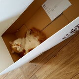 Foto van laura   Diva&Nova