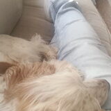 Foto van esther