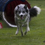 Foto van Angelique; Bruno, Charlie & Fenna