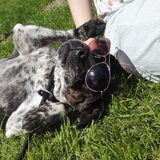 Als je even wil chillen...
