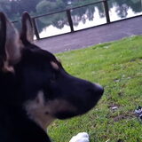 Samen met kaya