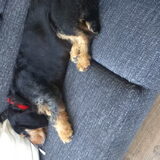 Foto van Maggie