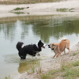 Samen met Mila tijdens de Doggy Days