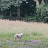 Foto van esther