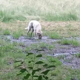 Foto van esther