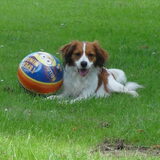 Hier is ons Kiddy aan het voetballen geweest ????????????????????????…