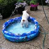 Waterpret