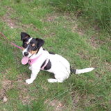 Hailey 5 maanden