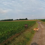 Foto van Jeanine :)