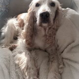 Foto van esther