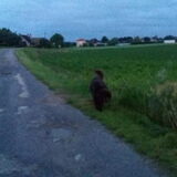 Foto van Jeanine :)