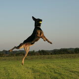 I believe i can .... FLY ...